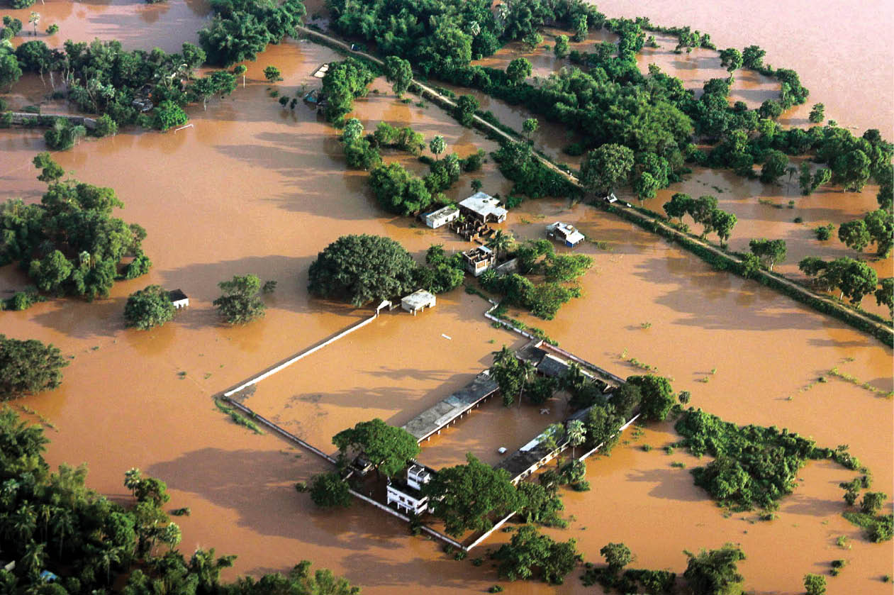 Disaster Management Perspectives: Learning from Phailin